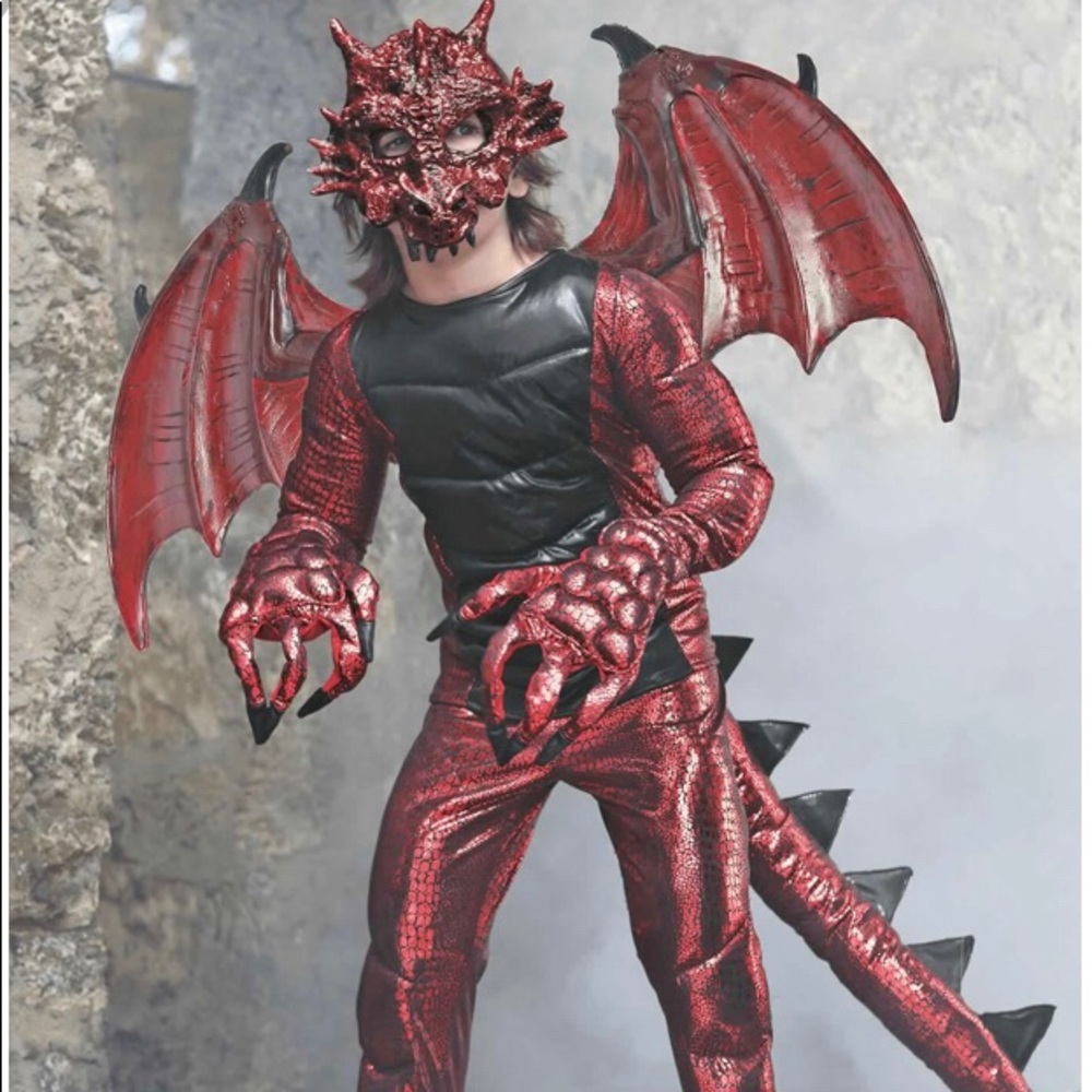 Chasing Fireflies Demon Dragon costume sz 14